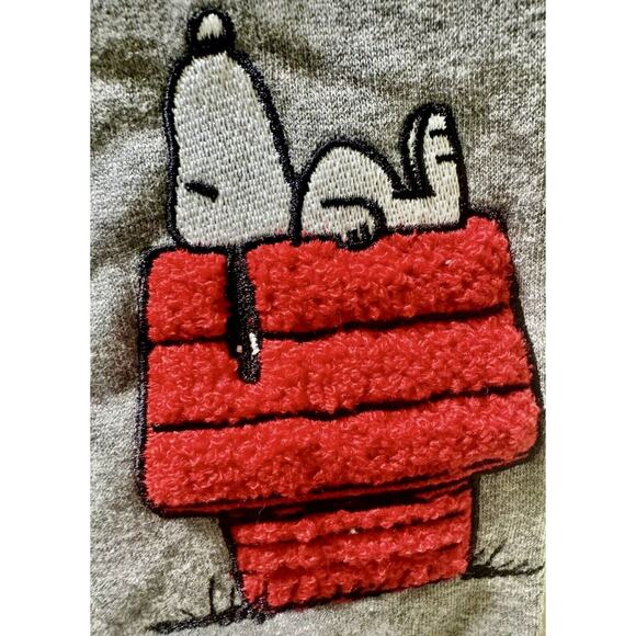 NWT Peanuts Snoopy Full Zip Sweatshirt Hoodie With Chenille Patches ~ Gray L - Picture 5 of 7